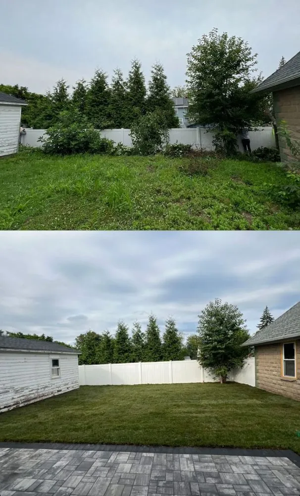 Trusted yard cleanup service in Union City, NJ by Backyard Bro's