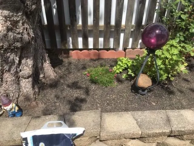 Custom yard cleanup service in Philadelphia, PA by Backyard Bully