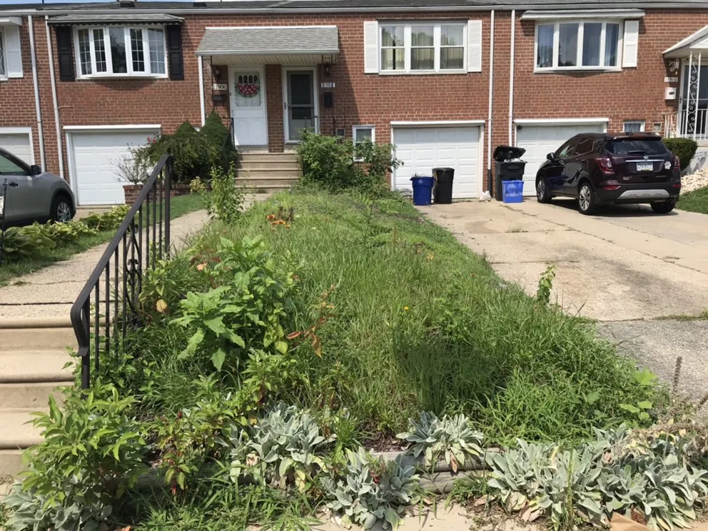 Professional residential landscaping in Philadelphia, PA by Backyard Bully