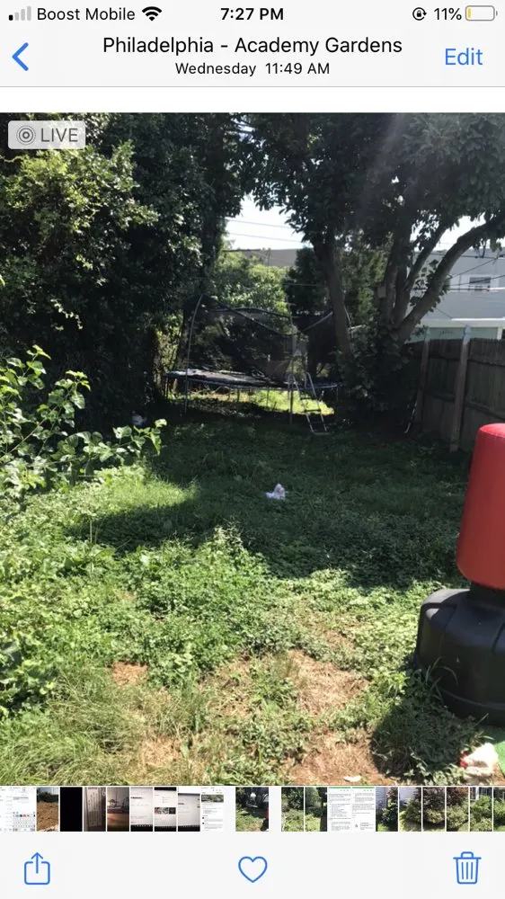 Expert landscape design for year-round maintenance in Philadelphia, PA by Backyard Bully