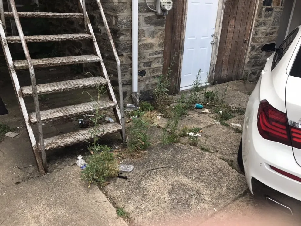 Reliable lawn mowing service experts serving Philadelphia, PA - Backyard Bully