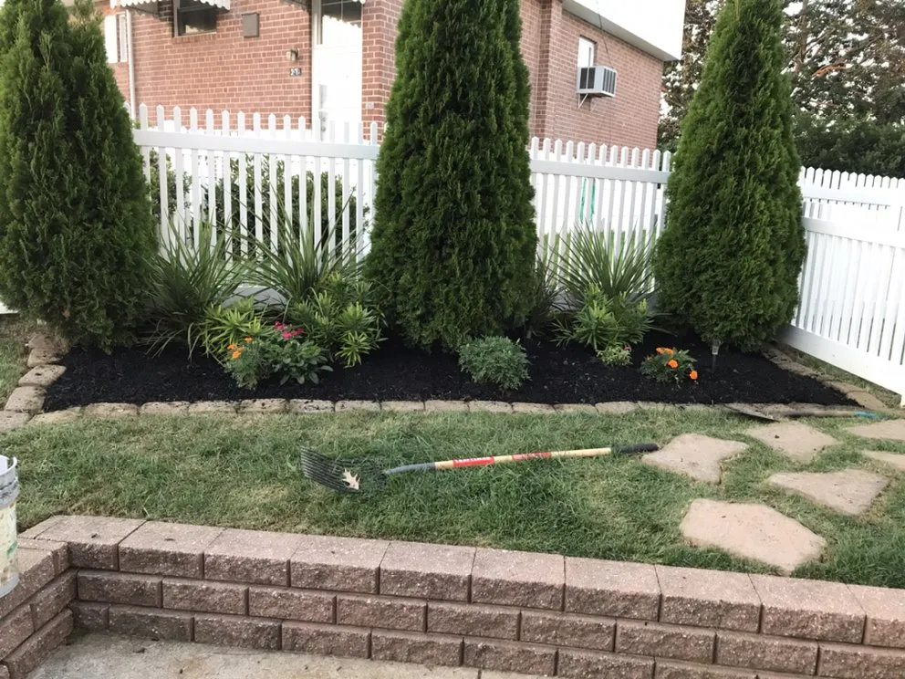Top-rated yard cleanup service experts serving Philadelphia, PA - Backyard Bully