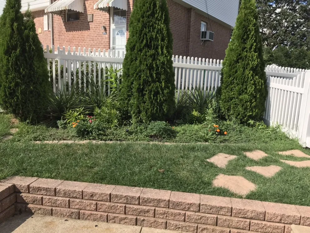 Professional yard maintenance in Philadelphia, PA - Backyard Bully