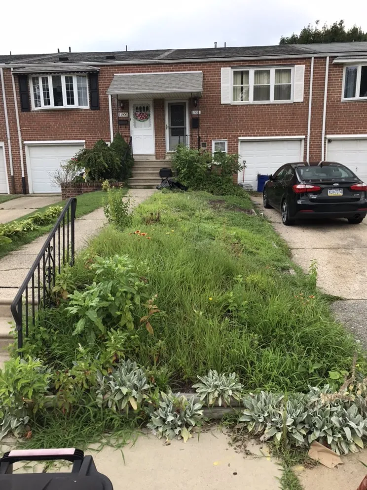 Professional landscaping services in Philadelphia, PA - Backyard Bully