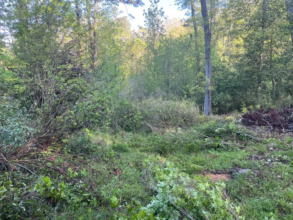 Professional yard maintenance for beautiful yards in Pelion, SC by Backyard Bushhog