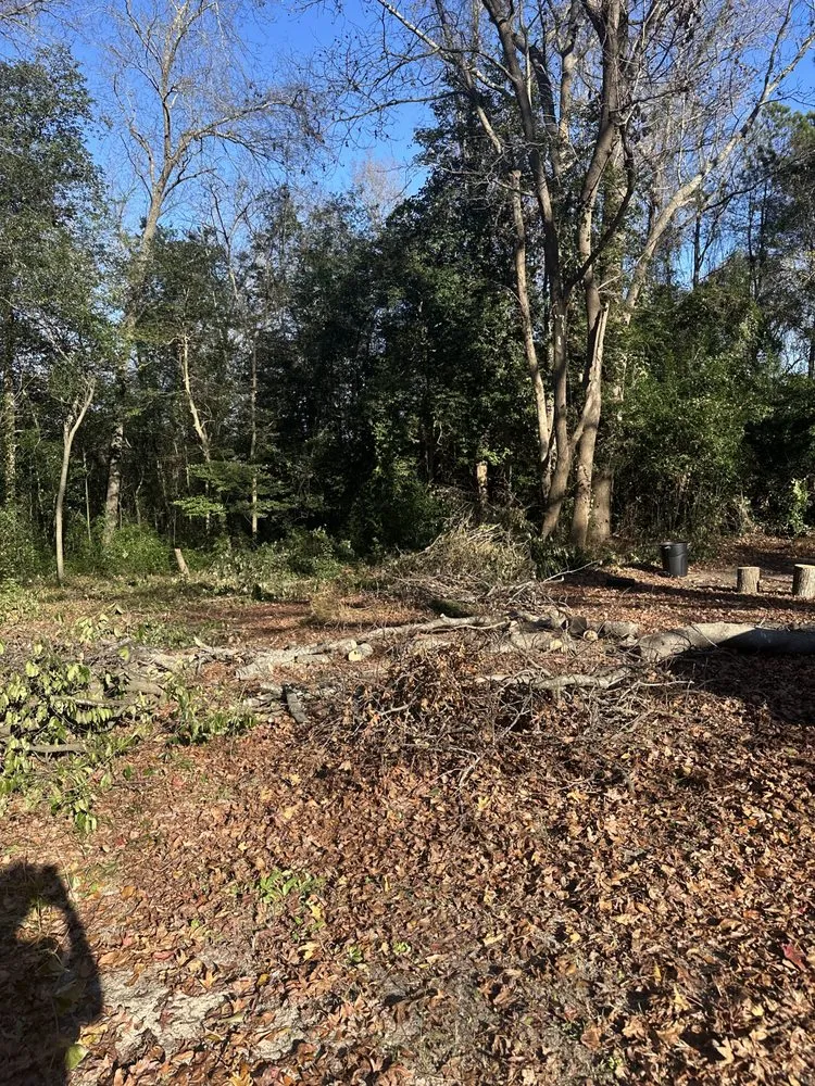 Expert lawn mowing service with custom design in Pelion, SC by Backyard Bushhog