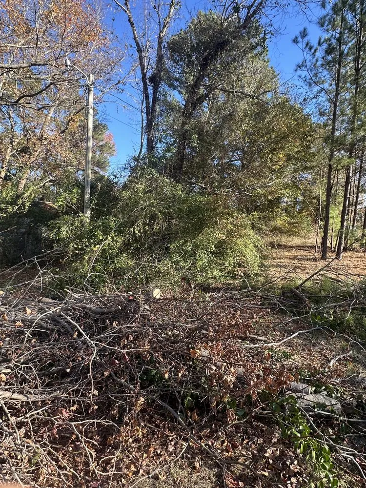 Expert garden landscaping in Pelion, SC - Backyard Bushhog
