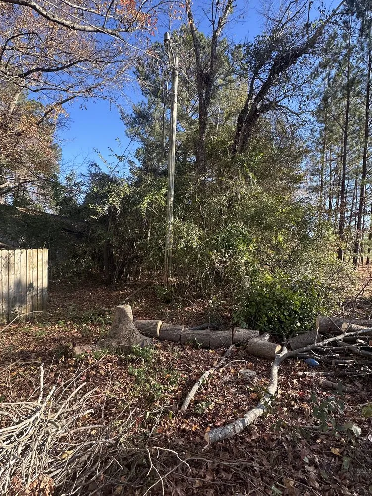 Trusted yard maintenance with custom design in Pelion, SC by Backyard Bushhog