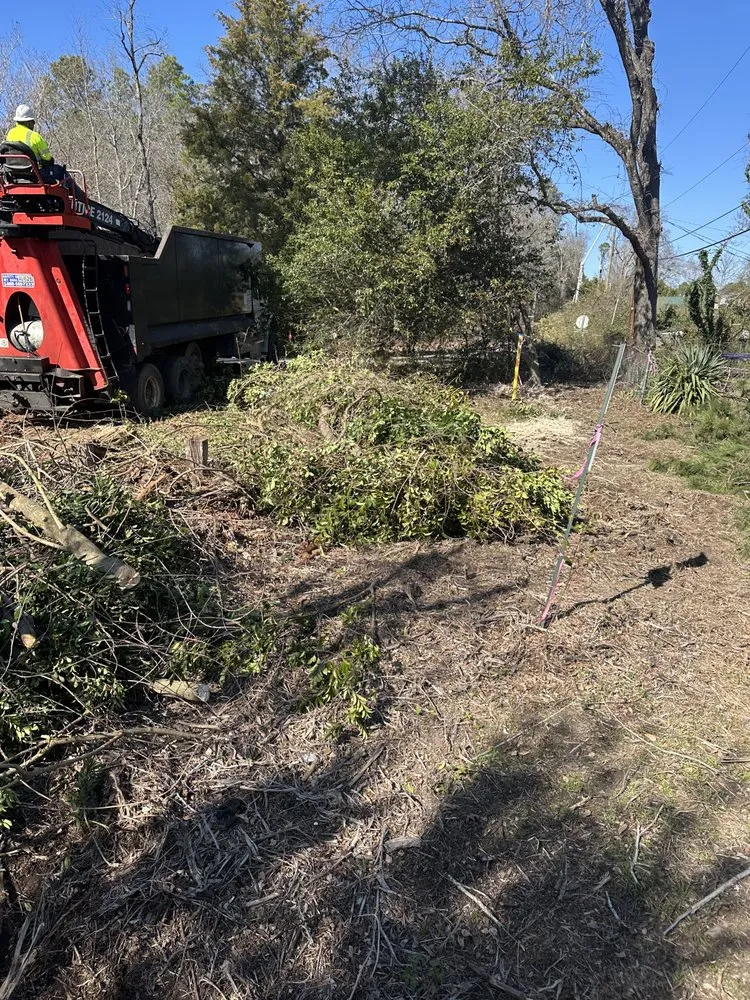 Custom lawn care service for homes across Pelion, SC - Backyard Bushhog