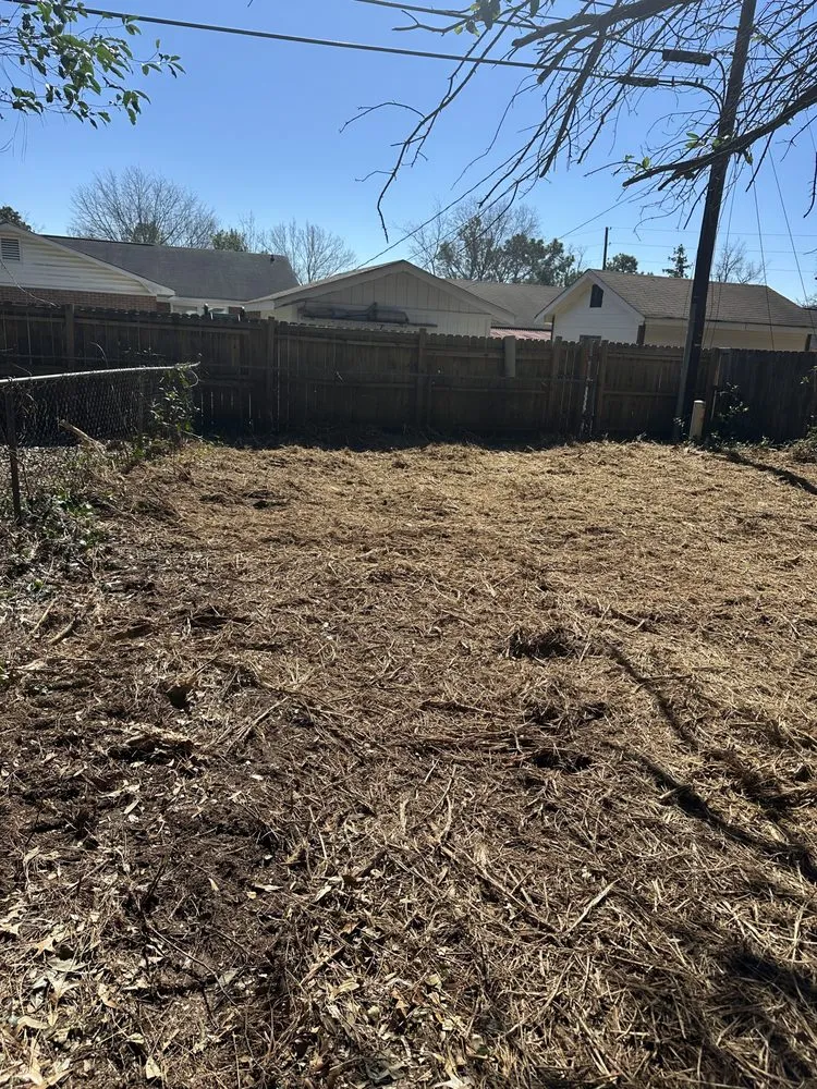 Top-rated landscape design in Pelion, SC - Backyard Bushhog