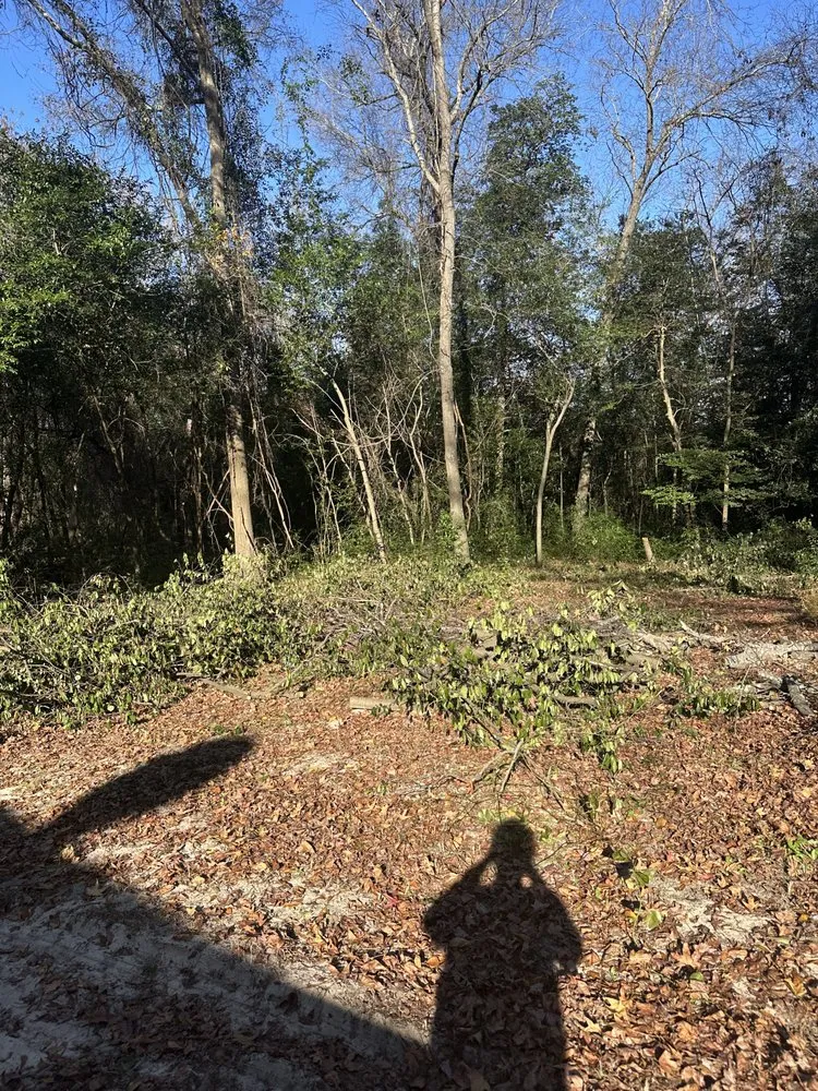 Local garden landscaping experts serving Pelion, SC - Backyard Bushhog