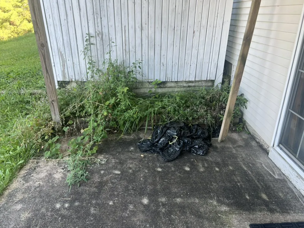 Affordable lawn care service for year-round maintenance across Bedminster, NJ - Backyard Cleans