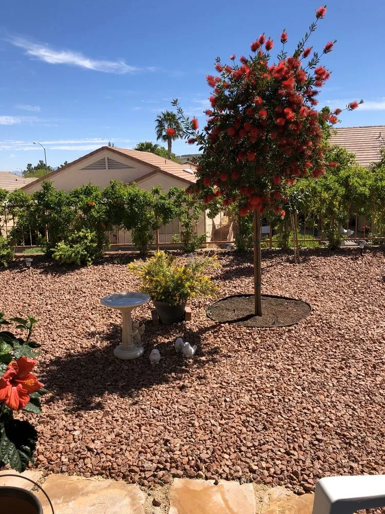 Expert lawn care service in Henderson, NV by Backyard Connection