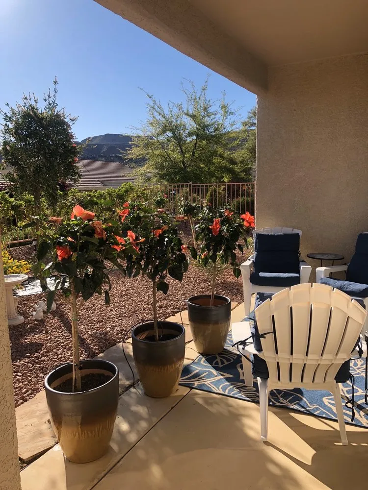 Reliable landscape installation for homes across Henderson, NV - Backyard Connection