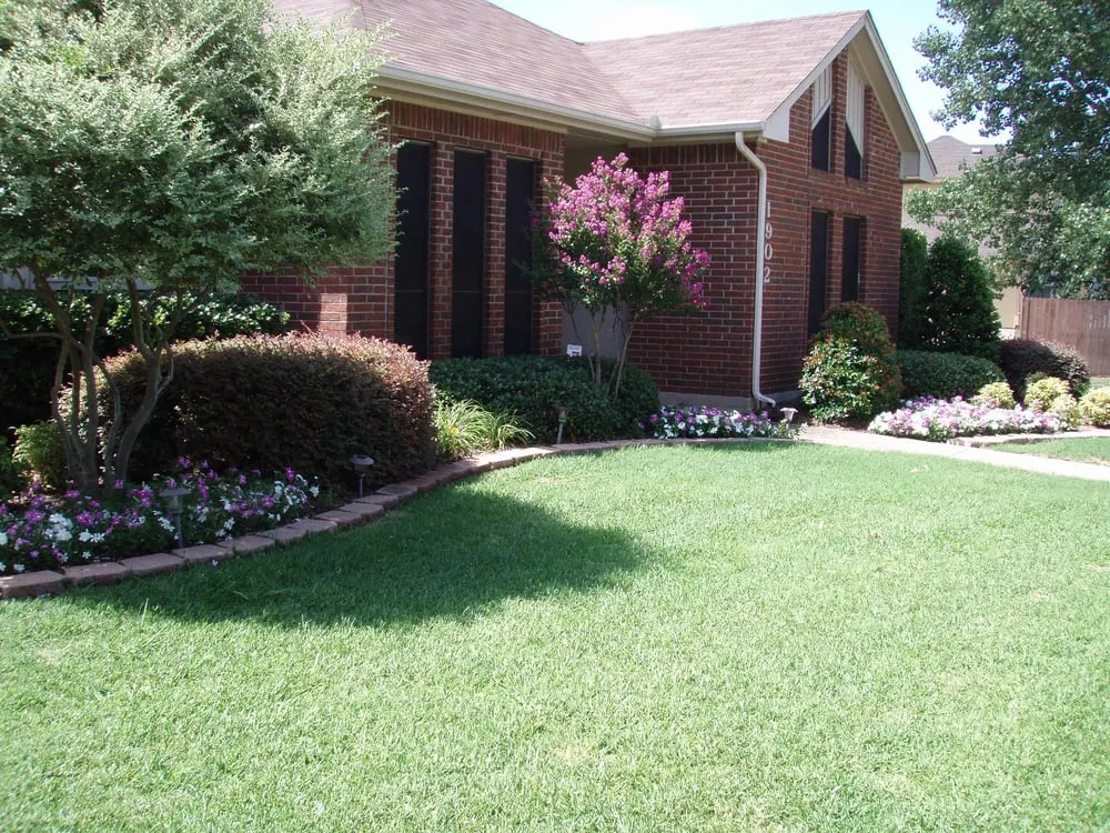 Local landscape installation in Frisco, TX - Backyard Creations