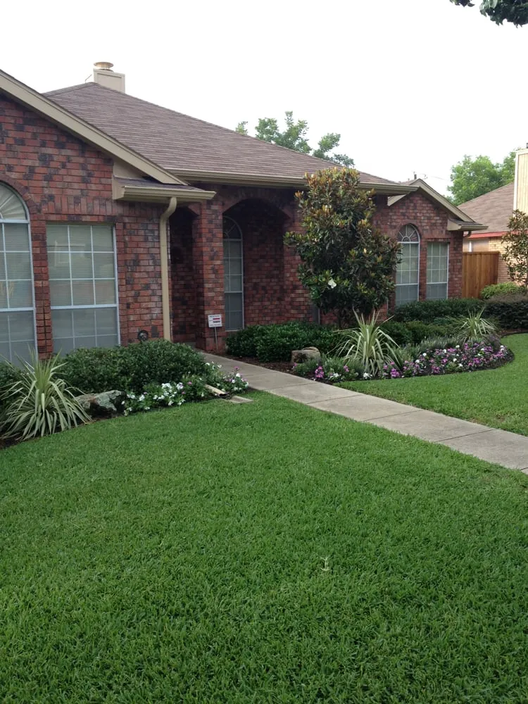 Reliable yard cleanup service in Frisco, TX - Backyard Creations