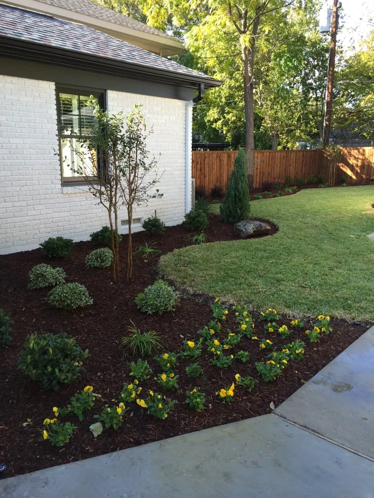 Expert yard maintenance in Frisco, TX by Backyard Creations