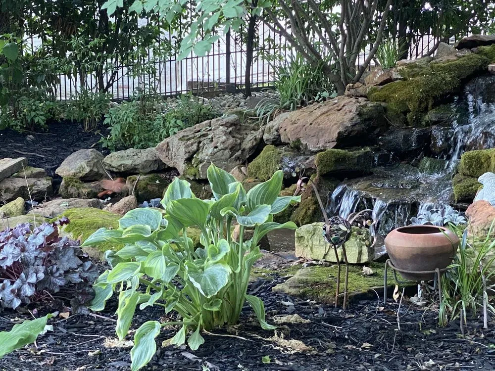 Local garden landscaping experts serving Bixby, OK - Backyard Depot