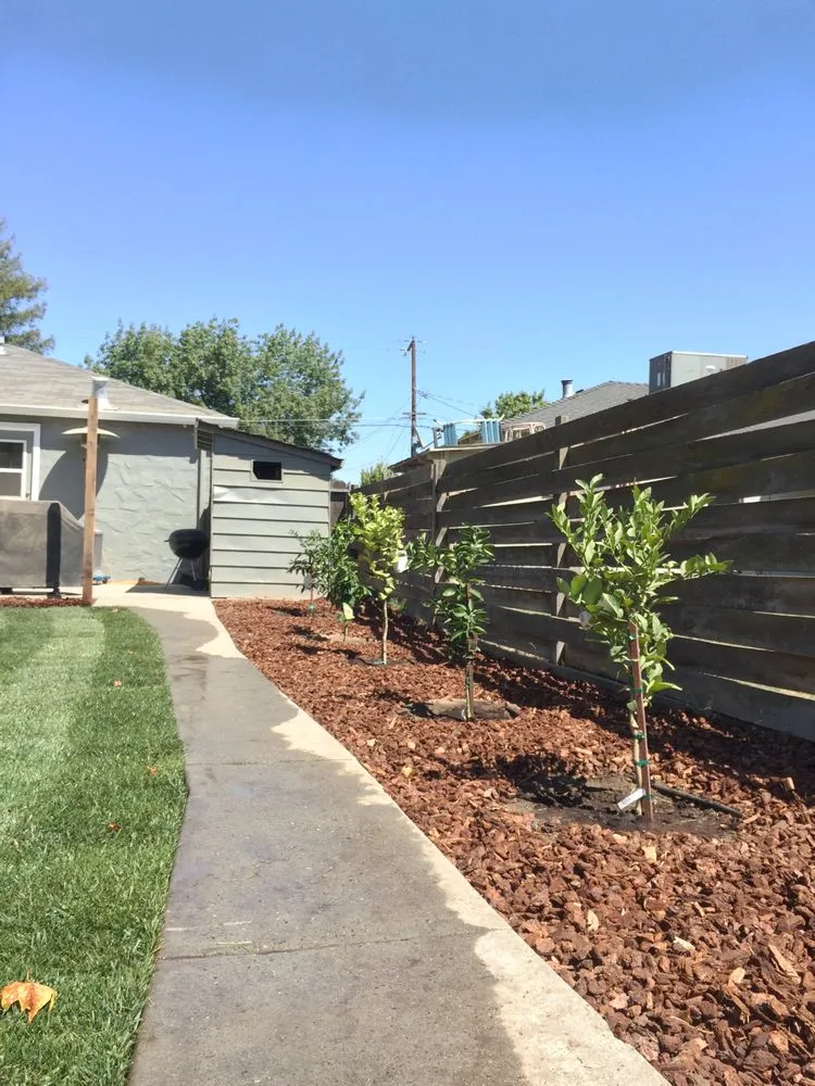 Local lawn care service near you in Lake Mary, FL by Backyard Designer Farms