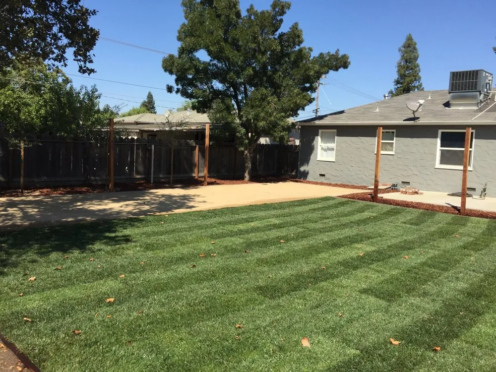 Top-rated lawn care service experts serving Lake Mary, FL - Backyard Designer Farms