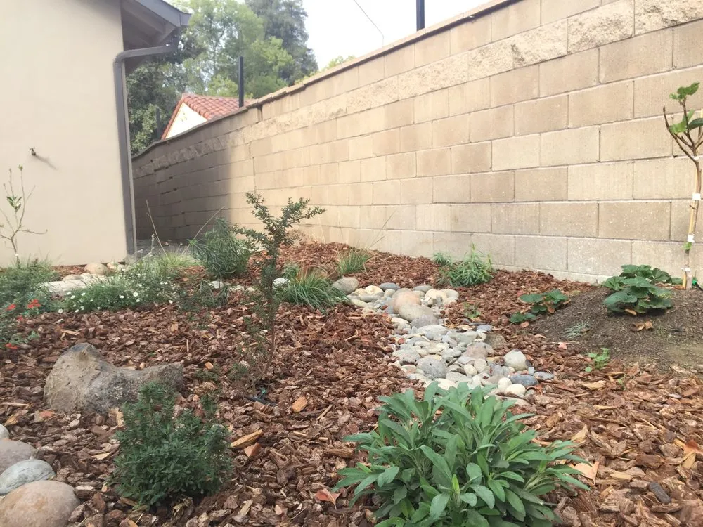 Reliable yard cleanup service in Lake Mary, FL by Backyard Designer Farms