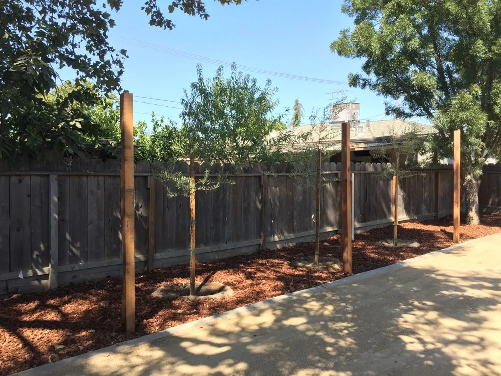 Expert landscape design experts serving Lake Mary, FL - Backyard Designer Farms