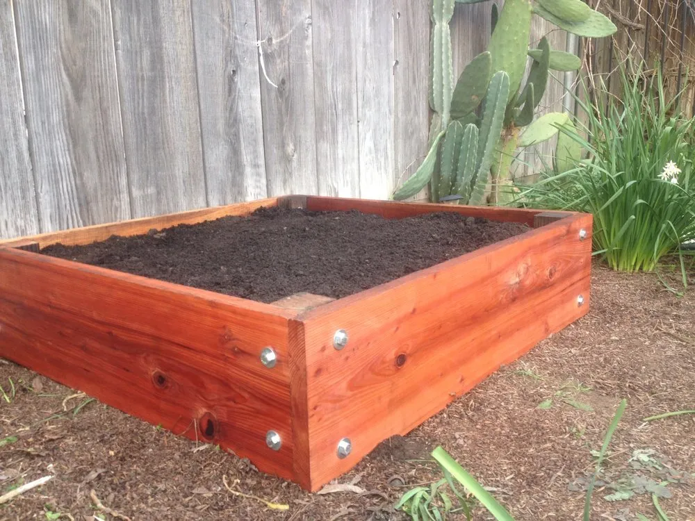 Reliable lawn care service experts serving Lake Mary, FL - Backyard Designer Farms