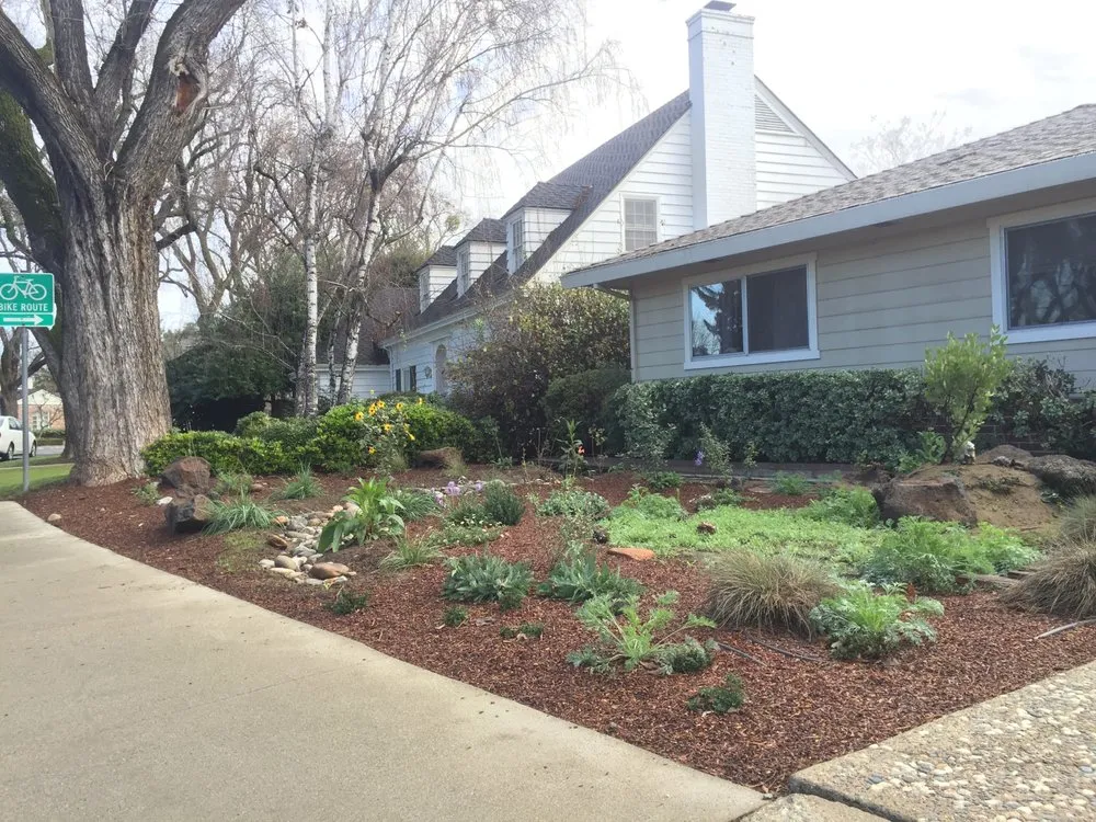 Reliable landscape design for outdoor upgrades across Lake Mary, FL - Backyard Designer Farms