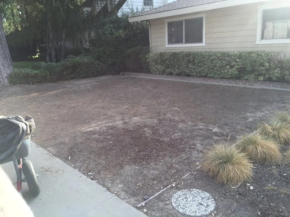 Trusted yard maintenance for beautiful yards across Lake Mary, FL - Backyard Designer Farms