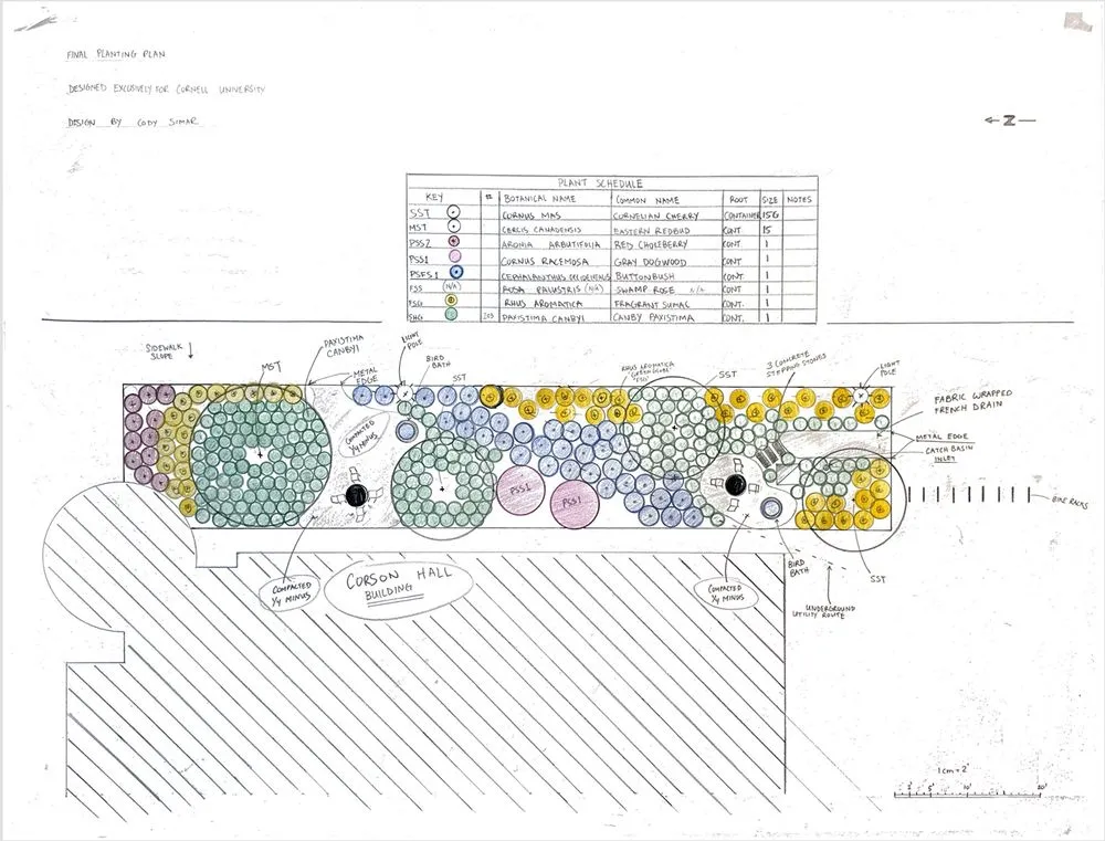 Top-rated landscape design near you across Lake Mary, FL - Backyard Designer Farms