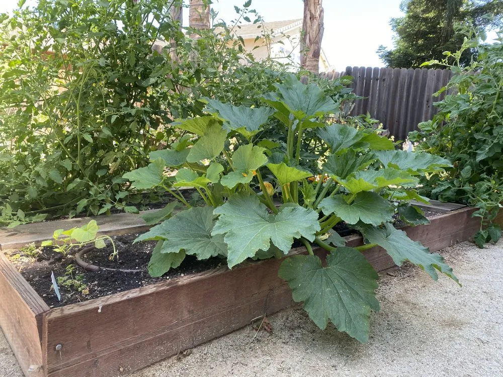 Trusted residential landscaping experts serving Lake Mary, FL - Backyard Designer Farms