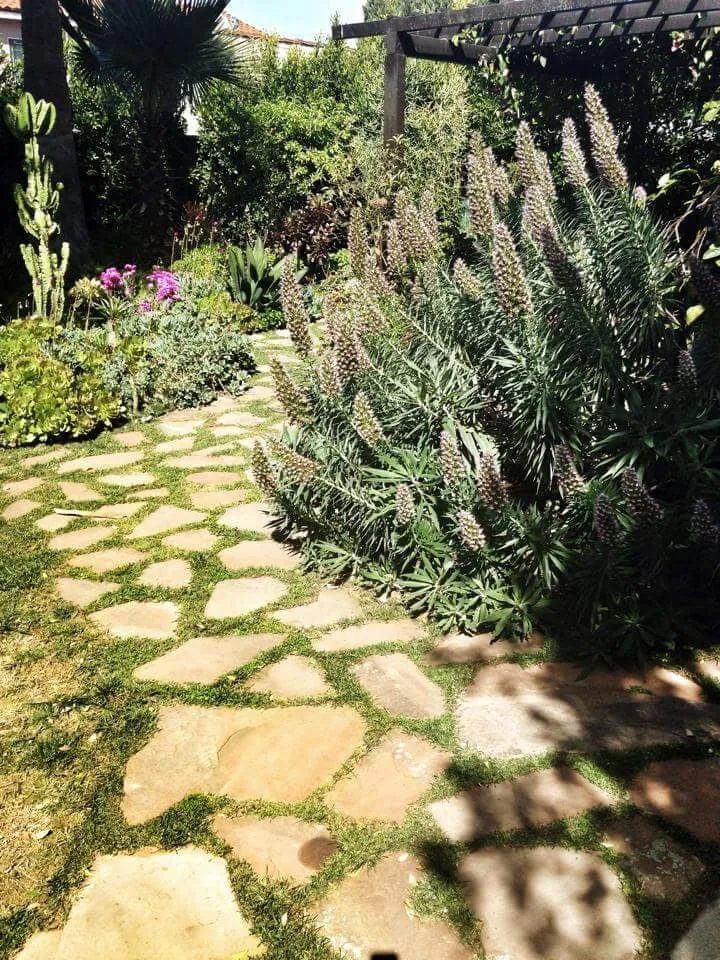 Expert garden landscaping in Long Beach, CA by Backyard Dreams LA