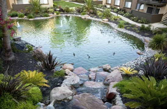 Trusted landscaping services for residential properties in Long Beach, CA by Backyard Dreams LA