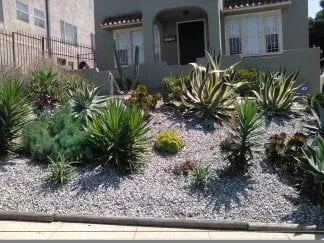 Expert outdoor landscaping for beautiful yards across Long Beach, CA - Backyard Dreams LA