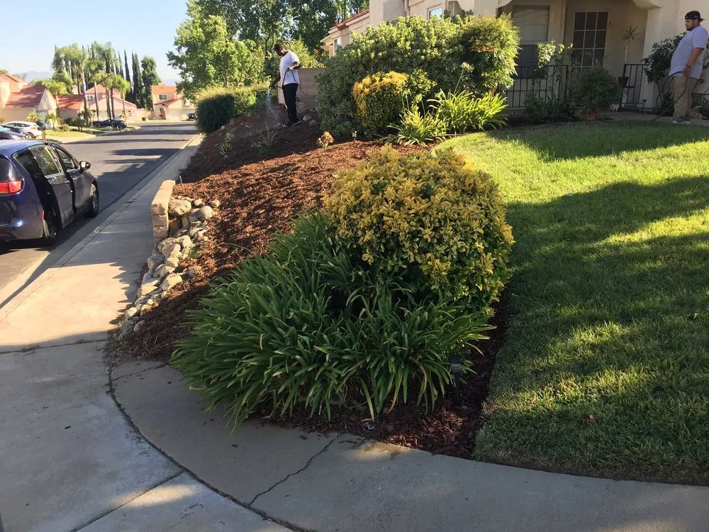 Trusted lawn care service experts serving Long Beach, CA - Backyard Dreams LA