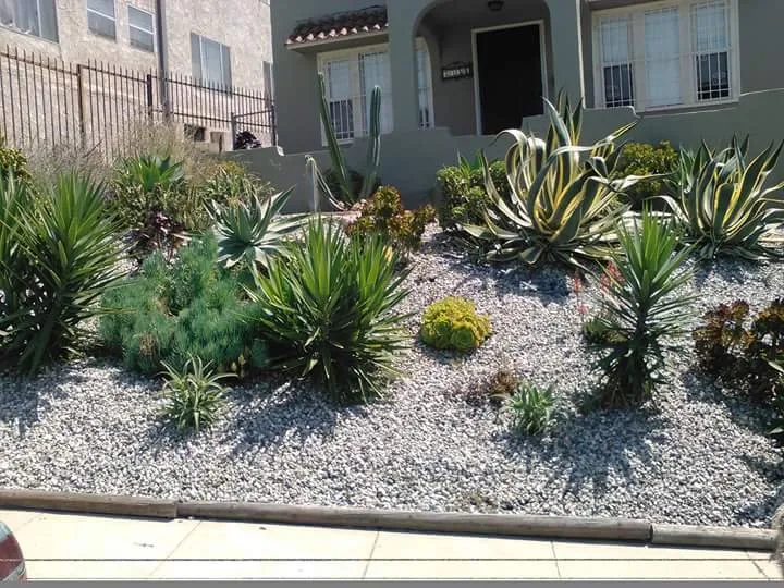 Reliable residential landscaping with custom design in Long Beach, CA by Backyard Dreams LA