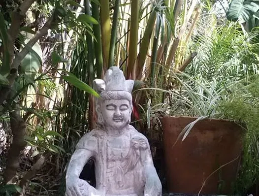 Custom yard maintenance in Long Beach, CA by Backyard Dreams LA