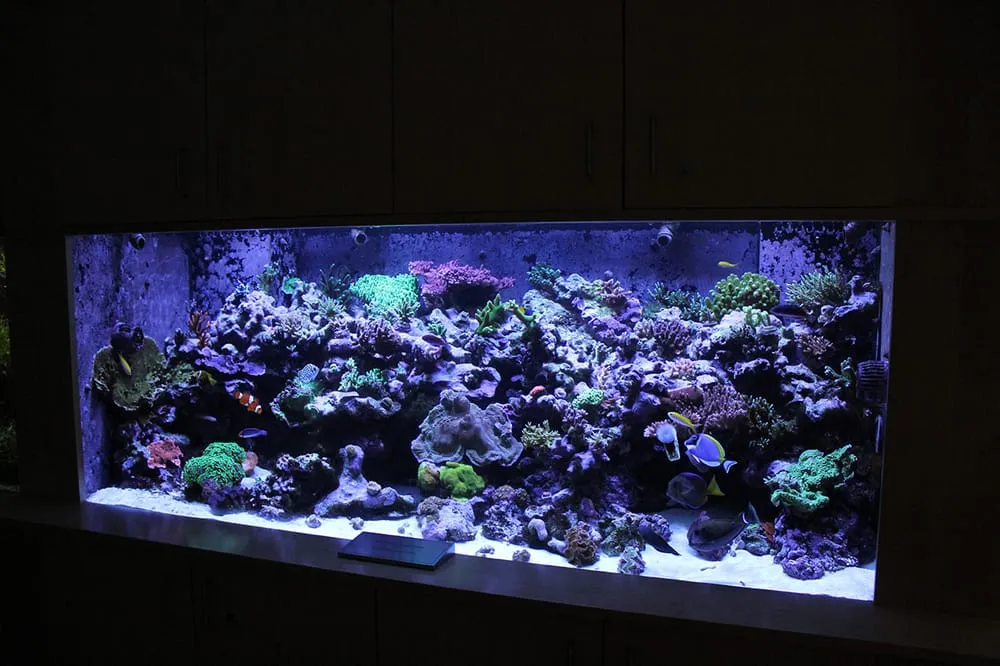 Reliable landscape installation experts serving Long Beach, CA - Backyard Dreams LA