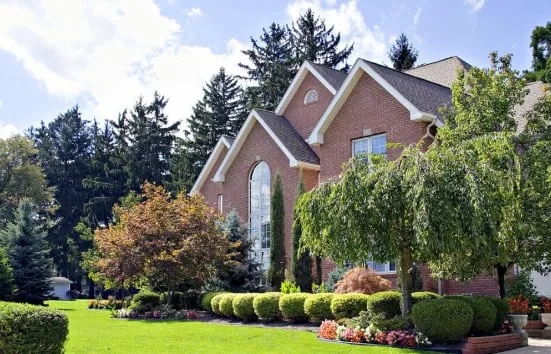 Top-rated landscaping services experts serving Long Beach, CA - Backyard Dreams LA