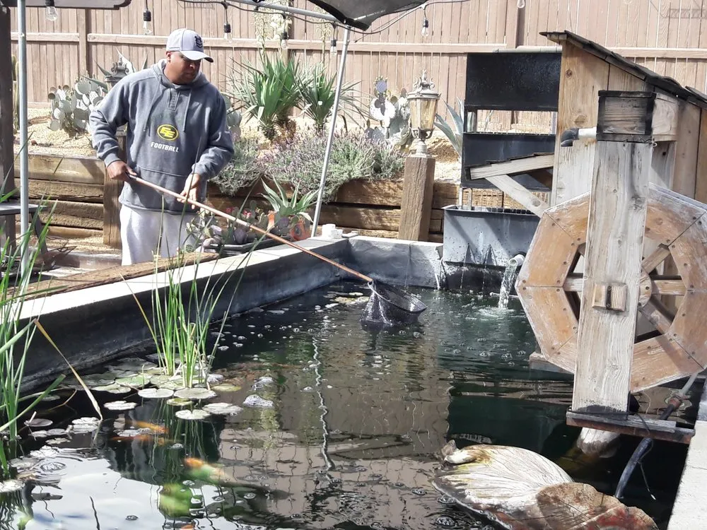 Custom yard cleanup service in Long Beach, CA by Backyard Dreams LA