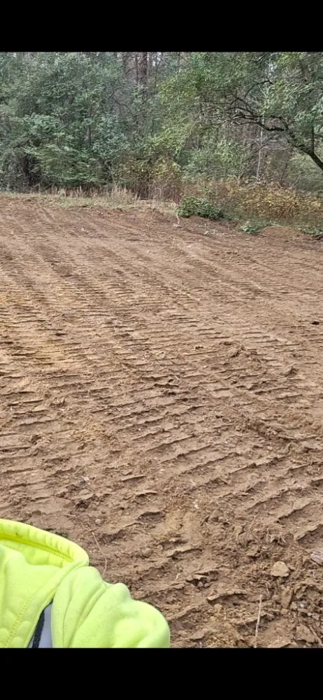 Expert lawn care service in Mount Airy, GA by Backyard Dreams Landscaping