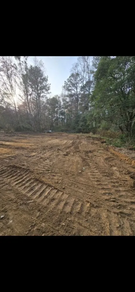 Professional yard maintenance near you in Mount Airy, GA by Backyard Dreams Landscaping