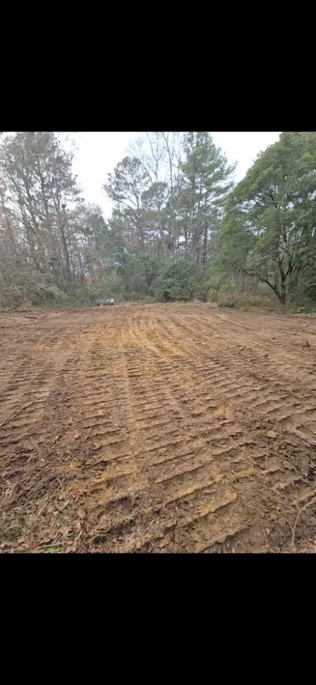 Trusted outdoor landscaping in Mount Airy, GA by Backyard Dreams Landscaping