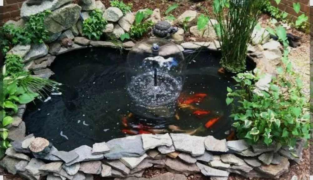 Top-rated yard maintenance for homes across Mount Airy, GA - Backyard Dreams Landscaping