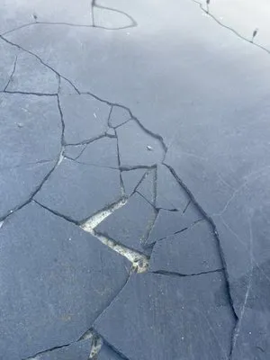 Backyard Escapes Logo