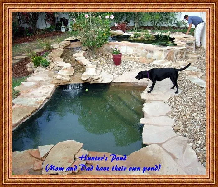 Expert yard maintenance in Myakka City, FL by Backyard Getaway