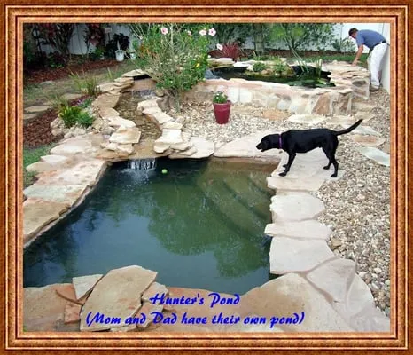 Backyard Getaway Logo