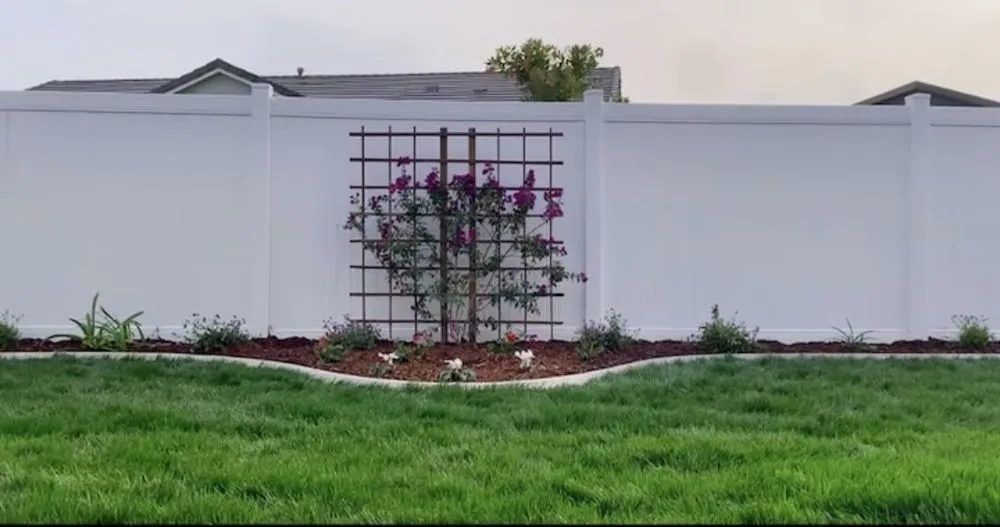 Professional yard maintenance in Bakersfield, CA - Backyard Landscape