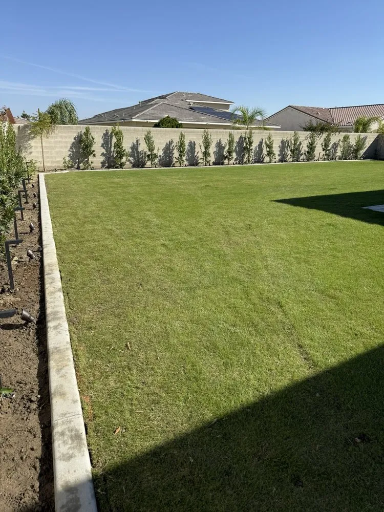 Affordable landscape installation in Bakersfield, CA by Backyard Landscape