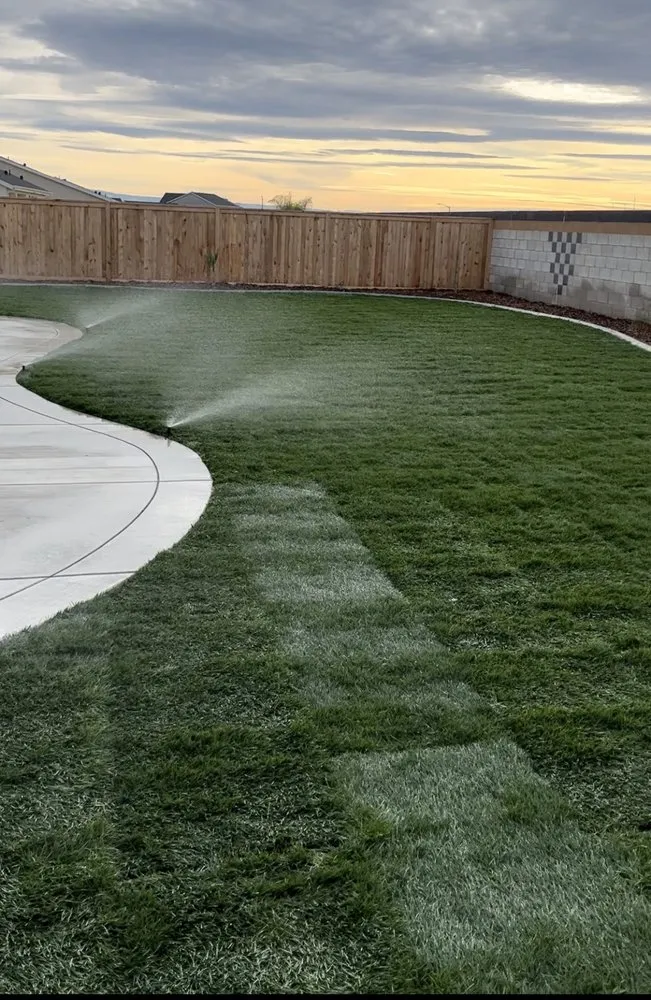 Top-rated landscape design experts serving Bakersfield, CA - Backyard Landscape